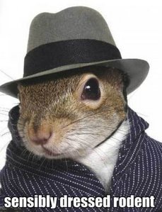  Are tu a sensibly dressed RODENT?!?