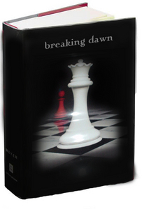 In the book, Breaking Dawn, was there any part you thought should NOT have been put in it. Or that you didn't like.
