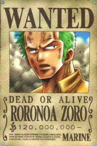  Do te think Zoro should Have his own Crew?