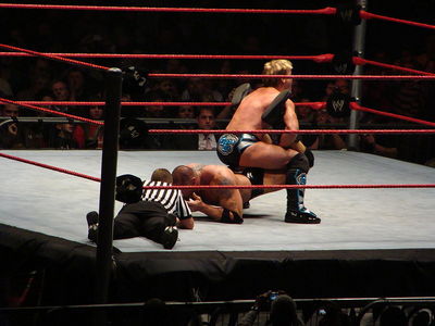 What is your favorite Jericho's finisher??