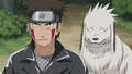  IF YOU'RE THE SISTER OF KIBA WHAT IS YOUR NAME AND WHAT IS THE NAME OF YOUR NINJA DOG?