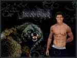 do youu thinkk taylor lautner does a good job as playing jacob black<3 in the twilight saga'z  ?!?!