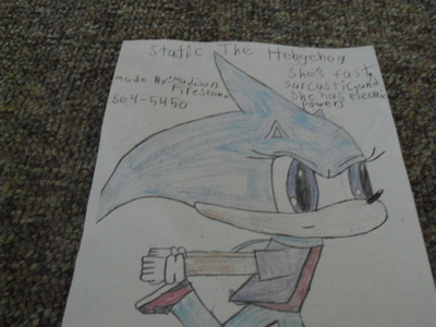 Who do you think is best as Static The Hedgehog's boyfriend?
