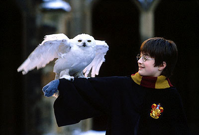  What do u think about Hedwig's death in the Deathly Hallows?