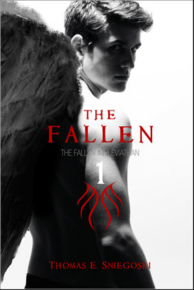  What do आप think about The Fallen द्वारा Thomas Sniegoski?