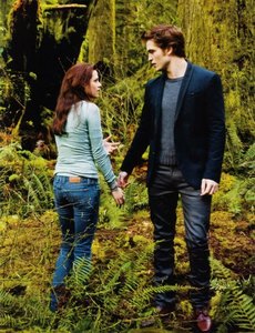 What did you think of the way New Moon (movie) ended?