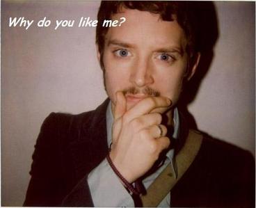  What do u like the most about Elijah Wood and why?