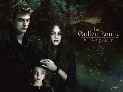 It has been confirmed that Breaking Dawn will be two seperate movies. What do you think about this ?