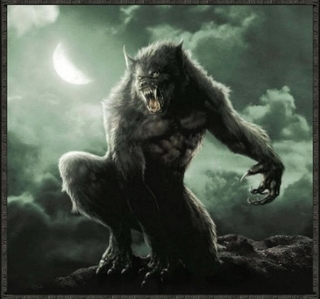  What would tu think if Jacob turned in to a were lobo on two legs? would tu like the four leg lobo o a two leg wolf?