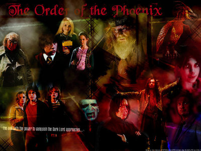  Agree with Renrae but also, fanpop isn't represantative of the whole world... As you can see, HP kicks bunda in every pick here but that doesn't mean HP deserves to win ALL the picks, it's just that HP is mais highly represented here than Twilight. It's the same thing for the Twilighters who are on Fanpop. P.S. Harry Potter IS a better novel than Twilight, but that's just my opinion...