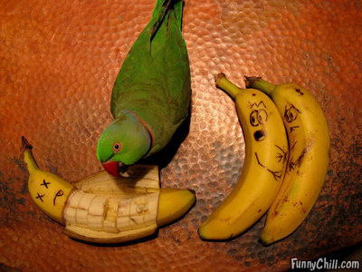  Banana's are yummy, mushy, and good for all..... well not for them ~LOL~