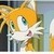 You guys, I know everything about Tails. Like did you know is middle name is Jeffery? I swear to God it is. His dad's name is Amedeaus. His mom's name is Rosemary. Zinger!!!!!!!!!!