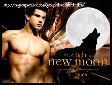    My Favourite character is simply and short:Jacob.
I didn't choose him because Taylor Lautner plays him and everybody says he is hot.
I started Liking Jacob since I READ newmoon and I had no Idea about any film or cast.
I simply love his personality,the way he acts and how he is NOT perfect,like edward cullen.
I find it kind of boring to like a character that is perfect.
Jacob has a little of everything =]].
