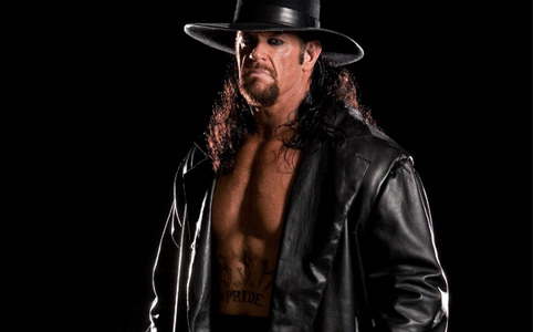  there are many good superstars like:hogen,goldberg,batista,jhon cena,triple h,shawn michaels,but the best superstar was and is the undertaker!