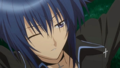  This is my indirect answer for this question: Ikuto, Ikuto, IKUTO!!! I vote 10,000 times for Ikuto!