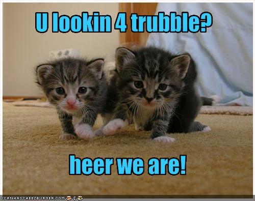  i amor lolcats :) these two are so cute