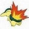 i would be a cyndaquil