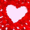  Happy Valentine's hari everyone!! Many mawar just for [u]you[/u]!!!!