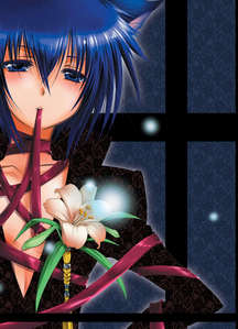  I always dream about Ikuto 27/7!!! I pretend that he would come to school with me every day, and even at home! Like even today on Valentines Day! I pretend to give him chocolate and some hot cat stuff!!!