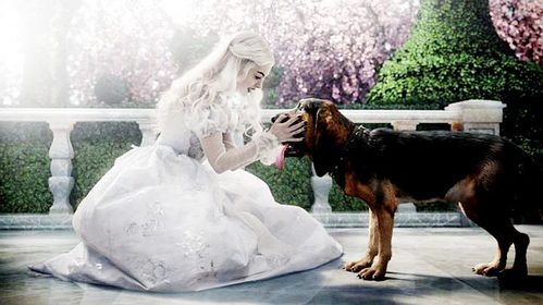  Here's a picture of the White Queen with the Bloodhound, hope it's helpful (: