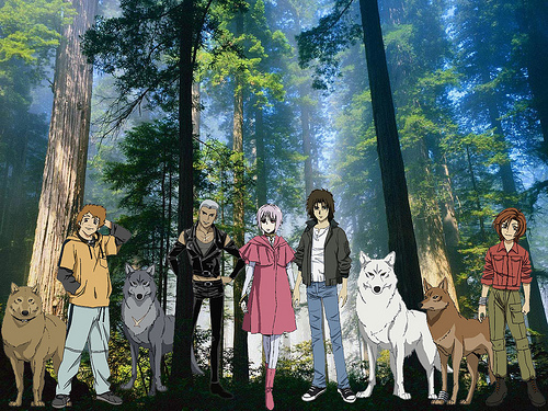  Well i don't think anyone really knows for puntellare, riva but some say that they are still wolf's and hige, tsume and toboe don't remember anything but kiba does but that's in the season 2 if it's made but there still lupo hopefully people say.
