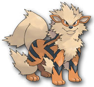 Arcanine with all of its fire!