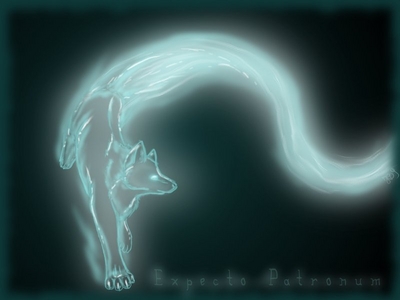 my animagus and patronus would be a wolf