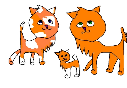  orangesplash-orange she-cat,white spots and night blue eyes ~~~~~~~~~~~~~~~~~~~~~~~~~~~~~ rustclaw-rusty オレンジ tom with moss green eyes,his mate is orangeslash ~~~~~~~~~~~~~~~~~~~~~~~~~~~~~~ blackkit-looks like her mother but her eyes are pitch black,later becomes blackeyes