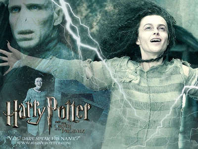  Yes, thats hilarious. I support Voldy a little but just for Bellatrix, cause I know she loves him.