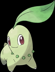  I don't play it that much but I have got a Hero-Mudkip lvl.47 Partner-Chikorita lvl.43 And I'm not evolving them either