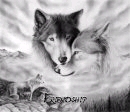  i would l’amour to be a shapeshifter but only into a loup cause they are so koola nd cute i've always l’amour loups and chevaux ou maybe a half vampire and loup but i couldn't stand hurting people ou some animaux i always put others before me =)