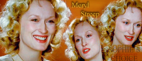  Sophie's Choice Brilliant movie, brilliant plot, beautiful story and characters. It's about a subject that has always interested me, World War II. It's just brilliant! It has Meryl Streep on it, need to say more?