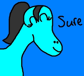 Ok,I love animals so why not?:D
P.S.I drew the horse and it looks ugly:(