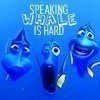  Dory is still teaching me. lol Dory: [about the humpback whale] Maybe he only speaks whale. [slowly and deeply, imitating the whale] Dory: Mooo... Weeee neeeed... Marlin: Dory? Dory: ...tooo fiiind hiiis sooon. Marlin: What are you doing? Are you sure you speak whale? Dory: Caaaan yoooou giive uuuus direeeeectioooons? Marlin: Dory! Heaven knows what you're saying! See, he's swimming away. Dory: Cooome baaaaack. Marlin: He's not coming back. You offended him. Dory: Maybe a different dialect. Mmmmoooooowaaaaah... Marlin: Dory! This is not whale. You're speaking like, upset stomach. Dory: Maybe I should try humpback. Marlin: No, don't try humpback. Dory: Woooooo! Woooooo! Marlin: Okay, now you really do sound sick. Dory: Maybe louder. Rah! Rah! Marlin: Don't do that! Dory: Too much orca. Did it sound a little orca-ish to you? Marlin: It doesn't sound orca. It sounds like nothing I've ever heard! *later* Marlin: THAAAANKKK YOUUUUU SIRRRRRRR. Dory: Wow. I wish I could speak whale...