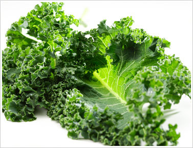  graubraun, dun graubraun, dun dun!!!!!!!!!!!!!!!!!!!!!!!!!!!!!!!!!!!!!!!!!!!!!!!!!!!!!!!!!!!!!!!!!!!!!!!!!!!!!!!!!!!!!!!!!!!!!!!!!!!!!!!!!!!!!!!!!!!!!!!!!!!!!!!!!!!!!!!!!!!!!!!!!!!!!!!!!!!!!!!!!!!!!!!!!!!!!!!!!!!!!!!!!!!!!!!!!!!!!!!!!!!!!!!!!!!!!!!!!!!!!!!!!!!!!!!!!!!!!!!!!!!!!!!!!!!!!! Audrey!! (xxXsk8trXxx)!!! *clap clap clap* XD and now one of audreys fave ppl to annoy! cale!!(he is a kid in our class XD) so here is a pic of kale!!