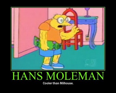 My fav character would probably have to be Hans Moleman coz he's a really crazy little old man and he appears in alot of random scenes.