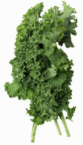  I nominate alvinseville92. Why, آپ ask? Well... .She's my friend in real life .No one here even bothers to pick me, but her .We share the same interests .Britt is awesomefull! Now here is a picture of Kale (inside joke):