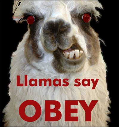  with the llamas