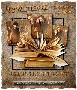 Let’s Re-Read New Moon Together! Chapter 2
come and join 23 more days and 23 more chapters to go.