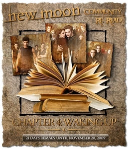  Let’s Re-Read New Moon Together! Chapter 4 But not really. Bella is never truly awake, she continues to be in the same lifeless downward spiral and who can blame her? Her very core of existance has abandoned her. “It will be as if I never exisite