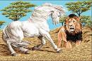  My favoriete animals are horses and lions