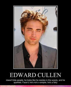  i have so many pictures i could post, but this is the first one i found so here anda go... if anda cant read it, it says: EDWARD CULLEN doesn't bite people, he looks like he resides in the woods, and he sparkles. face it, he's not a vampire, he's a fairy. lol