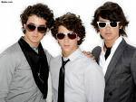  I 爱情 the Jonas brothers because they are sooo cool and i 爱情 their music.Joe is funny and cool also Nick is really cute.