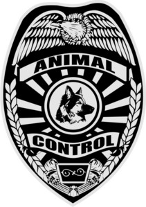  I want to be an Animal Control Officer (ACO). It what I have always wanted to be, because I have to see animals being hurt door the hands of humans. This does not count for when u kill an animal for food, like cows, pigs, chicken, ect.