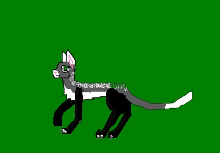  1 storm 2 Storm_Corrow@yahoo.com 3 masablwind 4 deputy 5 Stormclan 6 jadesong 7 snowdown 8 mubblefur 9 jaynight,nightwind,lightingcload,cascadepaw, thunderpaw,lightpaw,and flightpaw 10 stormy graty with black legs and white muzzle,tail tips,claws,cheast and spine 11 gentle jade green eyes 12 she is kind caring and a very skilled warrior perfect for the deputy job and a mother green got on it srry
