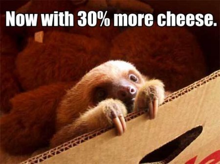  Look it's a sloth now with 30% mais cheese O_O