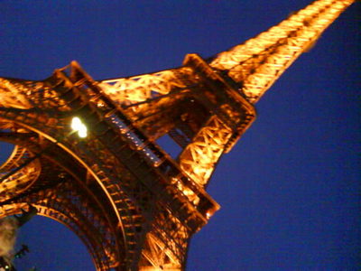  This is a picture I took of the Eiffel Tower. :)
