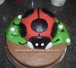  Well, you'll need a round, spherical cake pan, then u cook the cake in it, when it's done, make red icing (plain icing with red food coloring) and ice the cake, use licorice for the antenna, spots and dividing bit where it flys. If u want to be meer detailed then use a smaller cake pan to make a head. Good luck! (I did not make the picture cake)