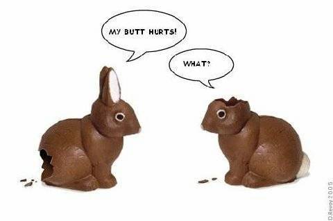  Lol, I know Easter was long gone, but it's the only funny pic I have left.