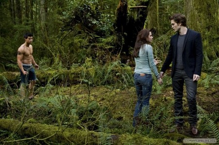  My fellow Twilighters: I need your help! [SPOILERS]